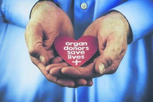 Become an organ donor today