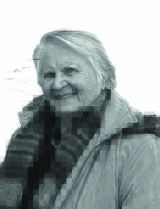 Ligvoets deur die veldblomme saam met Ouma – om hout te ‘maak’