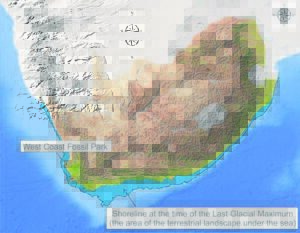 Marine shelf was land