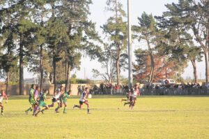 Agterbaaiers skud Mamre