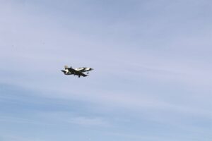 Saldanha geniet lugskou en valskerms