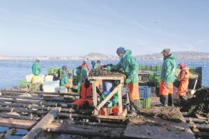 Vars uit die see(water)