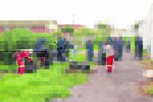Navy helps locals