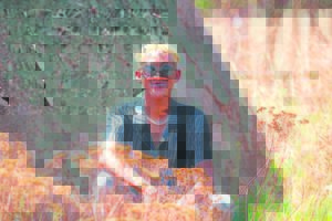 Stem gerus vir Breyton