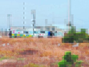 Seun se lyk naby Laaiplek-hawemond in Weskus gekry