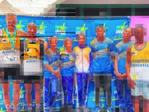 Local athletes shine