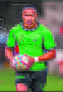 Don mik vir Springbokke