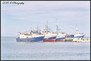 The fleet at home in St Helena Bay
