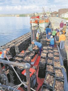 Taking live crayfish to clean water