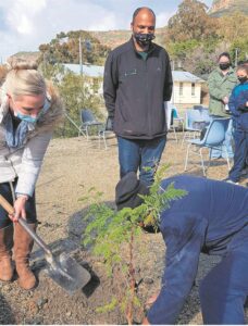 Plant ’n boom vir spesiale dag