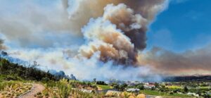 Arsonist receives a slap on wrist