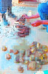 Onwettige perlemoen en kreef gekry