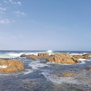 Baai skitter in winterson