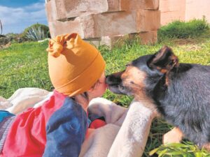 Killed by other dogs
