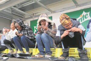 Winter-karnaval nou op die plein