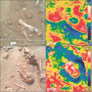 Degradation of fossils at the West Coast Fossil Park