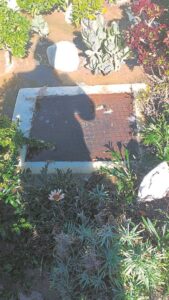 Sewer overflow leaves residents in distress