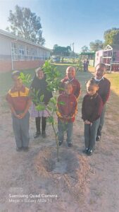 Greening for tomorrow during Arbor Week