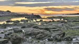 The setting sun burnishing the calm waters of Jacob’s Bay
