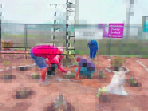 Hawe skoongemaak