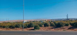 Man vas oor vrou se lyk in veld