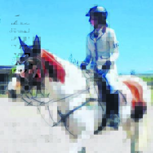 Op galop . . .