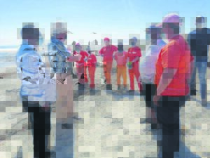 WDM geprys vir spesiale projekte