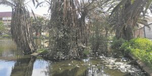 Vredenburg-park ‘vuil en onveilig’