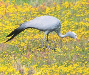 Explore local natural wonders