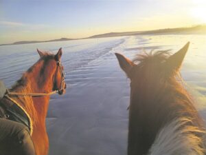 Selfs Dixie en Hunter waardeer die sonsondergang