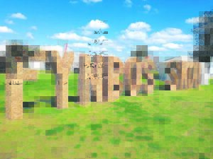 Bylae binne: Jaarlikse Hopefield Fynbosskou dié naweek!