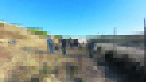Talle ernstig beseer toe taxi stilstaande bakkie tref