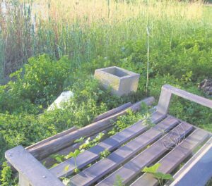 Riete, haweloses by dam in Vredenburg weer probleem