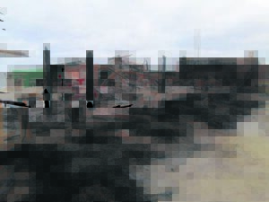 Muisbosskerm brand byna heeltemal af