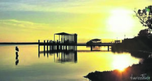 Comment on Estuarine Management welcome