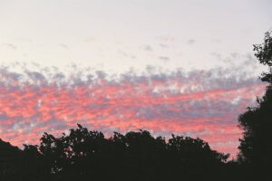 The haunting beauty of a pink twilight in Vredenburg