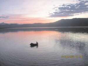 Voëlvlei Dam almost 60%