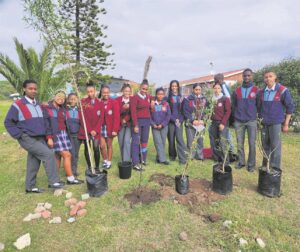 Diazville High School gifted with a variety of trees