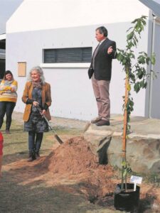 Oudhoof skenk, plant boom