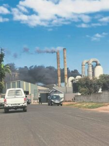 Fire at fish factory under control