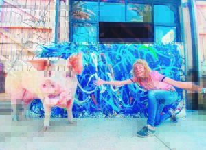 Pigcasso’s legacy lives on