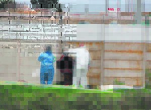 Moord van tiener op hofrol in April