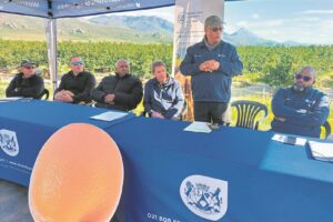 Flood-relief funds released