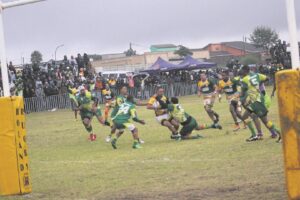Mamre looi Hopefield