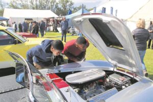 Hopefield hou lekker Fynbosfees