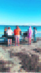 Land service team clean up beach