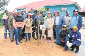 Plant trees to teach, uplift, screen