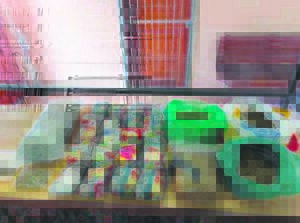 Sakke vol dagga in voertuig in Graafwater gevind