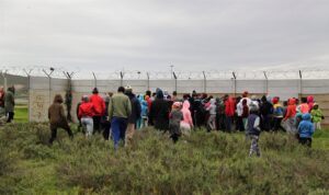 Lyk gevind tydens soektog na tiener