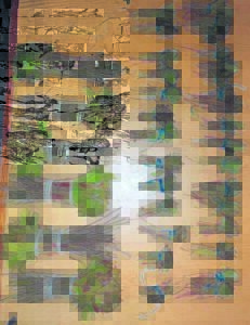 Somaliër vas oor khat, vuurwapen